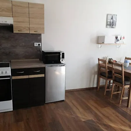 Διαμέρισμα Krasny V Centru Decina Ντέτσιν